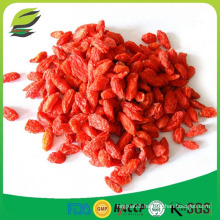 New season fresh dried goji berries